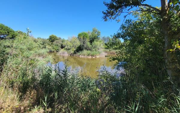 Maison à vendre    7 pièces •  Ouveillan