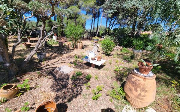 Maison à vendre    7 pièces •  Ouveillan