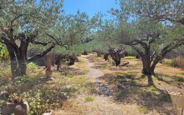 Maison à vendre    7 pièces •  Ouveillan