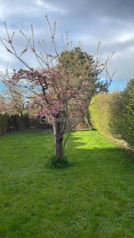 Maison de 89 m²