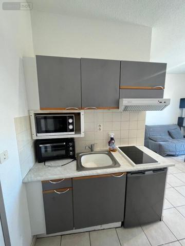 Appartement à louer à Saint-Chély-d'Apcher en Lozère (48200), ref : 48032-L96