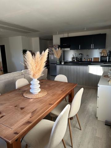 Appartement Puy Guillaume 3 pièce(s) 77 m2
