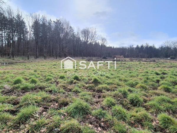 Terrain à bâtir de 1170 m² -Villematier