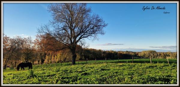 Propriété à vendre PONT DE VEYLE (01) 16,5 Ha, vue, maison 145 m², ferme à rénover 170 m², pigeonnier, hangar, équestre
