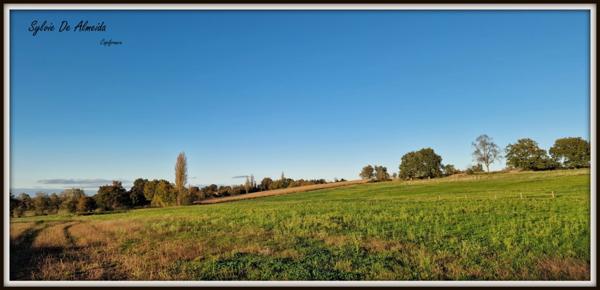 Propriété à vendre PONT DE VEYLE (01) 16,5 Ha, vue, maison 145 m², ferme à rénover 170 m², pigeonnier, hangar, équestre