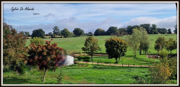 Propriété à vendre PONT DE VEYLE (01) 16,5 Ha, vue, maison 145 m², ferme à rénover 170 m², pigeonnier, hangar, équestre