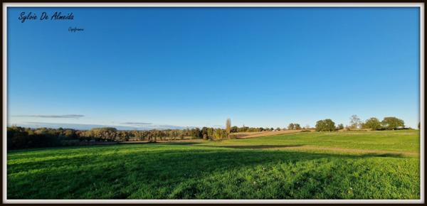 Propriété à vendre PONT DE VEYLE (01) 16,5 Ha, vue, maison 145 m², ferme à rénover 170 m², pigeonnier, hangar, équestre