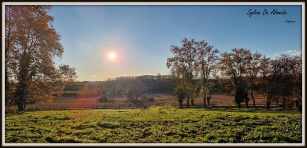 Propriété à vendre PONT DE VEYLE (01) 16,5 Ha, vue, maison 145 m², ferme à rénover 170 m², pigeonnier, hangar, équestre