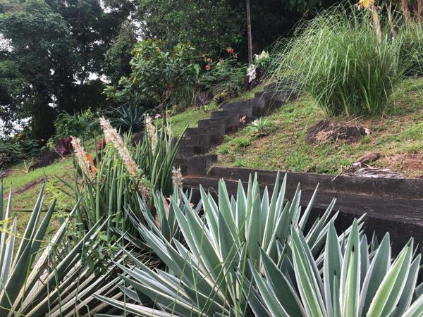 Maison individuelle à vendre à Cayenne en Guyane (97300), ref : 1010299   
BOURDA