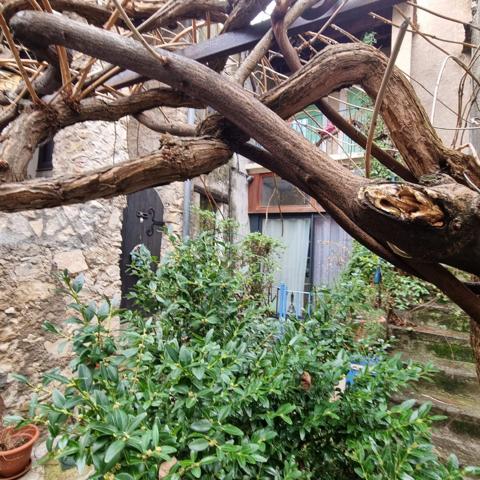 Maison de village à PEIPIN (04200)