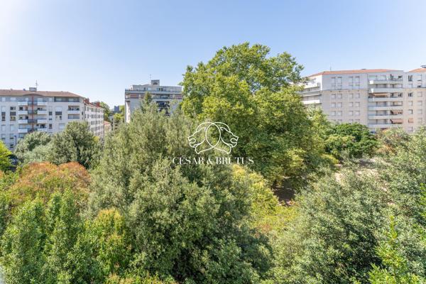 Emplacement idéal – Charmant T3 Charpennes