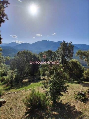 Terrain à vendre 4 pièces de 1 200 m²
