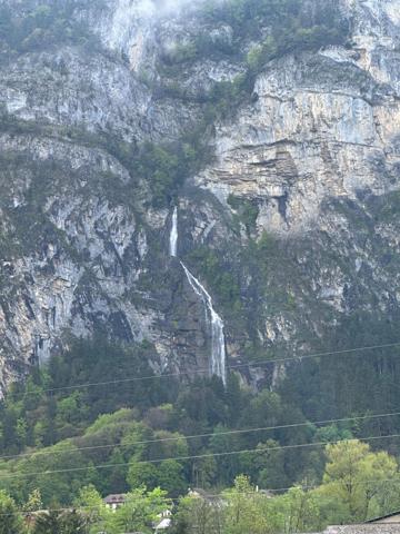 Cadre champêtre, environnement calme