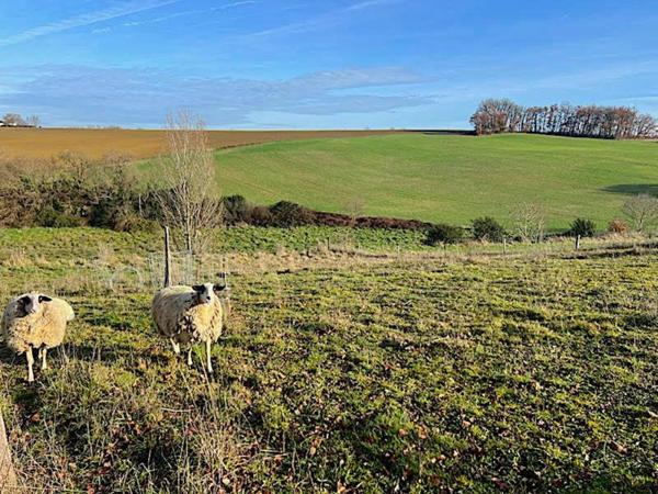 Maison de campagne en pierres