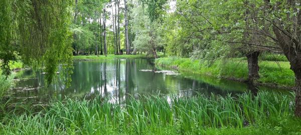 A 1h30 de PARIS - Charmante MAISON avec ETANG de 5000 m2, édifiée sur plus de 2 Hectares et bordé par une rivière