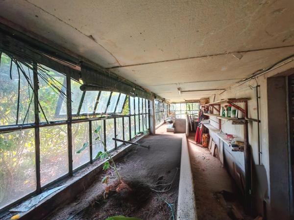 En exclusivité, Sandrine Tissier de venir découvrir cette maison lumineuse et spacieuse avec sous-sol total et son joli jardin. 
Elle se compose d'une entrée très pratique avec ses rangements, d'une cuisine équipée et aménagée qui permet de manger dedant également si vous le souhaitez, d'un séjour agréable avec un balcon plein sud donnant sur le jardin sans vis-à-vis ainsi que de deux chambres et une agréable salle d'eau.
A l'étage vous découvrirez une grande pièce pouvant faire une voire deux chambres et des WC.
Au sous sol laissez aller vos besoins et envies!
Actuellement, le sous-sol est composé comme tel: un espace garage, un atelier, une pièce buanderie/chaufferie, une pièce aménagée en chambre, des WC, une serre et une cave.

Les plus:
- Portail motorisé 
- Panneaux solaires pour autoconsommation 
- Volets roulants
- Un sas vous accueille avant d'entrer dans la maison très pratique en cas de pluie.

N'hésitez pas pour tout renseignement complémentaire.