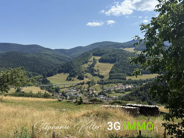 Vente / Ensemble de 2 maisons