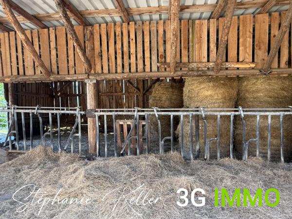 Vente / Ensemble de 2 maisons