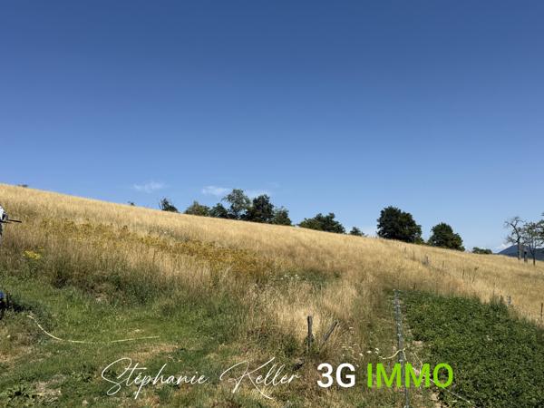 Vente / Ensemble de 2 maisons