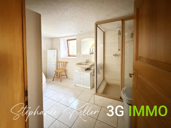 Vente / Ensemble de 2 maisons