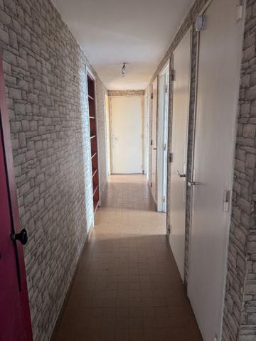 Appartement lumineux à réinventer - Gare Sud/Cité des Congrès