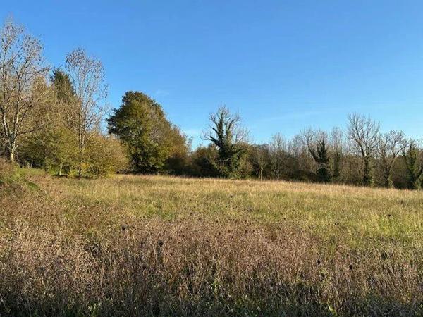 Vente Terrain 4500 m2 à Bours