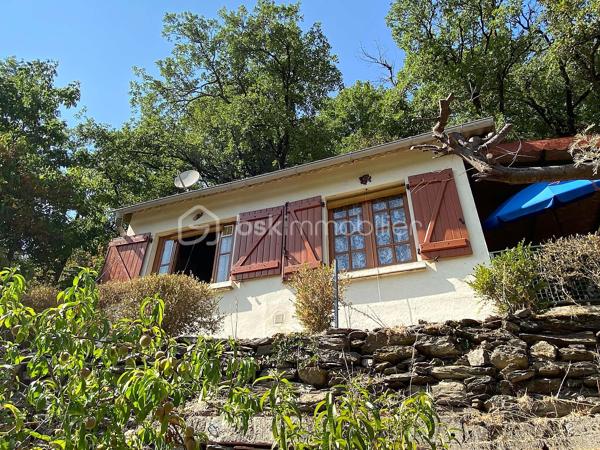 Un petit refuge au cœur de la vallée du Tarn…

Sur la commune de Connac, dans un environnement naturel et préservé, découvrez cette charmante petite maison d’environ 21 m², implantée sur un beau terrain de 1 567 m² et bénéficiant d’une agréable vue sur la vallée.

Ici, le véritable luxe, c’est le cadre : la nature, le calme et le Tarn à proximité immédiate, avec les activités nautiques et les plaisirs de la rivière accessibles à seulement quelques minutes. Canoë, baignade, pêche, balades… un environnement particulièrement agréable pour profiter pleinement des beaux jours.
La maison offre une organisation simple et fonctionnelle avec une cuisine équipée, une chambre indépendante, une salle d’eau ainsi que des WC avec espace de rangement.
La maison est raccordée à l’eau de ville, dispose d’un chauffage électrique et peut être proposée meublée.

À l’extérieur, une terrasse d’environ 15 m² permet de profiter pleinement du cadre et des beaux jours. Un petit abri de jardin complète l’ensemble.

Quelques améliorations sont à prévoir : menuiseries actuellement en simple vitrage, système d’assainissement à moderniser et chauffe-eau fonctionnel pouvant être remplacé par un petit cumulus plus adapté.

Le bien n’est pas soumis au DPE.

À proximité de Brousse-le-Château et Broquiès, cette petite propriété est idéale pour qui recherche un pied-à-terre en Aveyron, une petite maison à la campagne ou tout simplement son coin de tranquillité dans la vallée du Tarn, avec la rivière et ses loisirs à portée de main.

🌿 Terrain de 1 567 m²
🌄 Environnement naturel et vue sur la vallée
🚣 Tarn et activités nautiques à quelques minutes
🏡 Petite maison à usage d’habitation
💧 Eau de ville
🪴 Terrasse et abri de jardin
🛋️ Possibilité de vente meublée


Un petit bien atypique dans un secteur particulièrement apprécié des amoureux de nature et d’activités de plein air.
📞 Pour tout renseignement complémentaire ou pour organiser une visite, contactez moi.
🎥 Vidéo disponible sur demande.

Laetitia Criado – BSK Immobilier
06 61 20 65 41