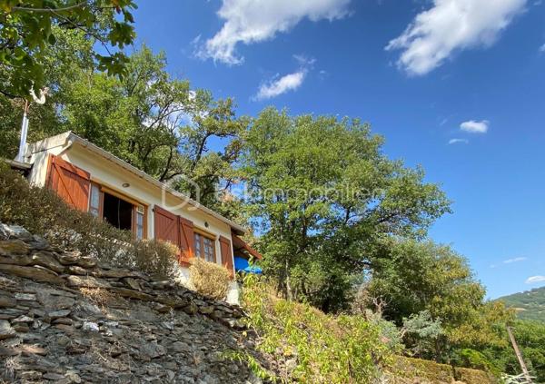 Un petit refuge au cœur de la vallée du Tarn…

Sur la commune de Connac, dans un environnement naturel et préservé, découvrez cette charmante petite maison d’environ 21 m², implantée sur un beau terrain de 1 567 m² et bénéficiant d’une agréable vue sur la vallée.

Ici, le véritable luxe, c’est le cadre : la nature, le calme et le Tarn à proximité immédiate, avec les activités nautiques et les plaisirs de la rivière accessibles à seulement quelques minutes. Canoë, baignade, pêche, balades… un environnement particulièrement agréable pour profiter pleinement des beaux jours.
La maison offre une organisation simple et fonctionnelle avec une cuisine équipée, une chambre indépendante, une salle d’eau ainsi que des WC avec espace de rangement.
La maison est raccordée à l’eau de ville, dispose d’un chauffage électrique et peut être proposée meublée.

À l’extérieur, une terrasse d’environ 15 m² permet de profiter pleinement du cadre et des beaux jours. Un petit abri de jardin complète l’ensemble.

Quelques améliorations sont à prévoir : menuiseries actuellement en simple vitrage, système d’assainissement à moderniser et chauffe-eau fonctionnel pouvant être remplacé par un petit cumulus plus adapté.

Le bien n’est pas soumis au DPE.

À proximité de Brousse-le-Château et Broquiès, cette petite propriété est idéale pour qui recherche un pied-à-terre en Aveyron, une petite maison à la campagne ou tout simplement son coin de tranquillité dans la vallée du Tarn, avec la rivière et ses loisirs à portée de main.

🌿 Terrain de 1 567 m²
🌄 Environnement naturel et vue sur la vallée
🚣 Tarn et activités nautiques à quelques minutes
🏡 Petite maison à usage d’habitation
💧 Eau de ville
🪴 Terrasse et abri de jardin
🛋️ Possibilité de vente meublée


Un petit bien atypique dans un secteur particulièrement apprécié des amoureux de nature et d’activités de plein air.
📞 Pour tout renseignement complémentaire ou pour organiser une visite, contactez moi.
🎥 Vidéo disponible sur demande.

Laetitia Criado – BSK Immobilier
06 61 20 65 41