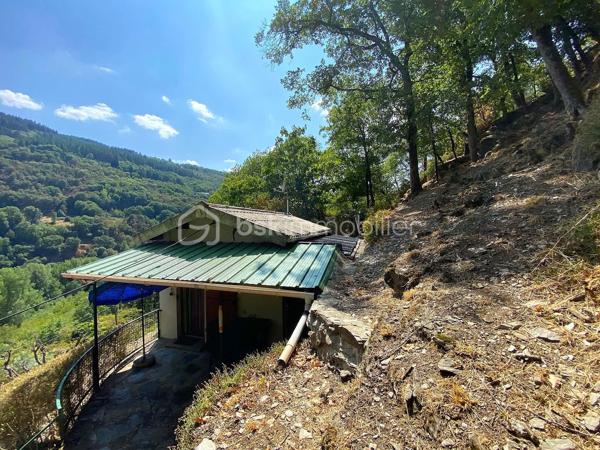 Un petit refuge au cœur de la vallée du Tarn…

Sur la commune de Connac, dans un environnement naturel et préservé, découvrez cette charmante petite maison d’environ 21 m², implantée sur un beau terrain de 1 567 m² et bénéficiant d’une agréable vue sur la vallée.

Ici, le véritable luxe, c’est le cadre : la nature, le calme et le Tarn à proximité immédiate, avec les activités nautiques et les plaisirs de la rivière accessibles à seulement quelques minutes. Canoë, baignade, pêche, balades… un environnement particulièrement agréable pour profiter pleinement des beaux jours.
La maison offre une organisation simple et fonctionnelle avec une cuisine équipée, une chambre indépendante, une salle d’eau ainsi que des WC avec espace de rangement.
La maison est raccordée à l’eau de ville, dispose d’un chauffage électrique et peut être proposée meublée.

À l’extérieur, une terrasse d’environ 15 m² permet de profiter pleinement du cadre et des beaux jours. Un petit abri de jardin complète l’ensemble.

Quelques améliorations sont à prévoir : menuiseries actuellement en simple vitrage, système d’assainissement à moderniser et chauffe-eau fonctionnel pouvant être remplacé par un petit cumulus plus adapté.

Le bien n’est pas soumis au DPE.

À proximité de Brousse-le-Château et Broquiès, cette petite propriété est idéale pour qui recherche un pied-à-terre en Aveyron, une petite maison à la campagne ou tout simplement son coin de tranquillité dans la vallée du Tarn, avec la rivière et ses loisirs à portée de main.

🌿 Terrain de 1 567 m²
🌄 Environnement naturel et vue sur la vallée
🚣 Tarn et activités nautiques à quelques minutes
🏡 Petite maison à usage d’habitation
💧 Eau de ville
🪴 Terrasse et abri de jardin
🛋️ Possibilité de vente meublée


Un petit bien atypique dans un secteur particulièrement apprécié des amoureux de nature et d’activités de plein air.
📞 Pour tout renseignement complémentaire ou pour organiser une visite, contactez moi.
🎥 Vidéo disponible sur demande.

Laetitia Criado – BSK Immobilier
06 61 20 65 41