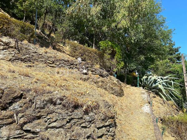 Un petit refuge au cœur de la vallée du Tarn…

Sur la commune de Connac, dans un environnement naturel et préservé, découvrez cette charmante petite maison d’environ 21 m², implantée sur un beau terrain de 1 567 m² et bénéficiant d’une agréable vue sur la vallée.

Ici, le véritable luxe, c’est le cadre : la nature, le calme et le Tarn à proximité immédiate, avec les activités nautiques et les plaisirs de la rivière accessibles à seulement quelques minutes. Canoë, baignade, pêche, balades… un environnement particulièrement agréable pour profiter pleinement des beaux jours.
La maison offre une organisation simple et fonctionnelle avec une cuisine équipée, une chambre indépendante, une salle d’eau ainsi que des WC avec espace de rangement.
La maison est raccordée à l’eau de ville, dispose d’un chauffage électrique et peut être proposée meublée.

À l’extérieur, une terrasse d’environ 15 m² permet de profiter pleinement du cadre et des beaux jours. Un petit abri de jardin complète l’ensemble.

Quelques améliorations sont à prévoir : menuiseries actuellement en simple vitrage, système d’assainissement à moderniser et chauffe-eau fonctionnel pouvant être remplacé par un petit cumulus plus adapté.

Le bien n’est pas soumis au DPE.

À proximité de Brousse-le-Château et Broquiès, cette petite propriété est idéale pour qui recherche un pied-à-terre en Aveyron, une petite maison à la campagne ou tout simplement son coin de tranquillité dans la vallée du Tarn, avec la rivière et ses loisirs à portée de main.

🌿 Terrain de 1 567 m²
🌄 Environnement naturel et vue sur la vallée
🚣 Tarn et activités nautiques à quelques minutes
🏡 Petite maison à usage d’habitation
💧 Eau de ville
🪴 Terrasse et abri de jardin
🛋️ Possibilité de vente meublée


Un petit bien atypique dans un secteur particulièrement apprécié des amoureux de nature et d’activités de plein air.
📞 Pour tout renseignement complémentaire ou pour organiser une visite, contactez moi.
🎥 Vidéo disponible sur demande.

Laetitia Criado – BSK Immobilier
06 61 20 65 41