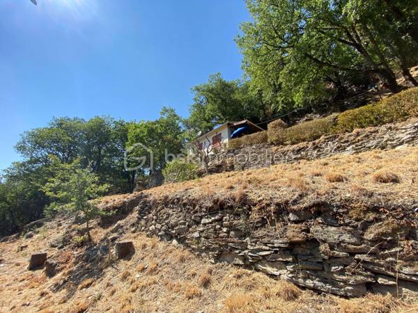 Un petit refuge au cœur de la vallée du Tarn…

Sur la commune de Connac, dans un environnement naturel et préservé, découvrez cette charmante petite maison d’environ 21 m², implantée sur un beau terrain de 1 567 m² et bénéficiant d’une agréable vue sur la vallée.

Ici, le véritable luxe, c’est le cadre : la nature, le calme et le Tarn à proximité immédiate, avec les activités nautiques et les plaisirs de la rivière accessibles à seulement quelques minutes. Canoë, baignade, pêche, balades… un environnement particulièrement agréable pour profiter pleinement des beaux jours.
La maison offre une organisation simple et fonctionnelle avec une cuisine équipée, une chambre indépendante, une salle d’eau ainsi que des WC avec espace de rangement.
La maison est raccordée à l’eau de ville, dispose d’un chauffage électrique et peut être proposée meublée.

À l’extérieur, une terrasse d’environ 15 m² permet de profiter pleinement du cadre et des beaux jours. Un petit abri de jardin complète l’ensemble.

Quelques améliorations sont à prévoir : menuiseries actuellement en simple vitrage, système d’assainissement à moderniser et chauffe-eau fonctionnel pouvant être remplacé par un petit cumulus plus adapté.

Le bien n’est pas soumis au DPE.

À proximité de Brousse-le-Château et Broquiès, cette petite propriété est idéale pour qui recherche un pied-à-terre en Aveyron, une petite maison à la campagne ou tout simplement son coin de tranquillité dans la vallée du Tarn, avec la rivière et ses loisirs à portée de main.

🌿 Terrain de 1 567 m²
🌄 Environnement naturel et vue sur la vallée
🚣 Tarn et activités nautiques à quelques minutes
🏡 Petite maison à usage d’habitation
💧 Eau de ville
🪴 Terrasse et abri de jardin
🛋️ Possibilité de vente meublée


Un petit bien atypique dans un secteur particulièrement apprécié des amoureux de nature et d’activités de plein air.
📞 Pour tout renseignement complémentaire ou pour organiser une visite, contactez moi.
🎥 Vidéo disponible sur demande.

Laetitia Criado – BSK Immobilier
06 61 20 65 41