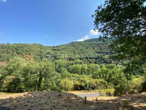 Un petit refuge au cœur de la vallée du Tarn…

Sur la commune de Connac, dans un environnement naturel et préservé, découvrez cette charmante petite maison d’environ 21 m², implantée sur un beau terrain de 1 567 m² et bénéficiant d’une agréable vue sur la vallée.

Ici, le véritable luxe, c’est le cadre : la nature, le calme et le Tarn à proximité immédiate, avec les activités nautiques et les plaisirs de la rivière accessibles à seulement quelques minutes. Canoë, baignade, pêche, balades… un environnement particulièrement agréable pour profiter pleinement des beaux jours.
La maison offre une organisation simple et fonctionnelle avec une cuisine équipée, une chambre indépendante, une salle d’eau ainsi que des WC avec espace de rangement.
La maison est raccordée à l’eau de ville, dispose d’un chauffage électrique et peut être proposée meublée.

À l’extérieur, une terrasse d’environ 15 m² permet de profiter pleinement du cadre et des beaux jours. Un petit abri de jardin complète l’ensemble.

Quelques améliorations sont à prévoir : menuiseries actuellement en simple vitrage, système d’assainissement à moderniser et chauffe-eau fonctionnel pouvant être remplacé par un petit cumulus plus adapté.

Le bien n’est pas soumis au DPE.

À proximité de Brousse-le-Château et Broquiès, cette petite propriété est idéale pour qui recherche un pied-à-terre en Aveyron, une petite maison à la campagne ou tout simplement son coin de tranquillité dans la vallée du Tarn, avec la rivière et ses loisirs à portée de main.

🌿 Terrain de 1 567 m²
🌄 Environnement naturel et vue sur la vallée
🚣 Tarn et activités nautiques à quelques minutes
🏡 Petite maison à usage d’habitation
💧 Eau de ville
🪴 Terrasse et abri de jardin
🛋️ Possibilité de vente meublée


Un petit bien atypique dans un secteur particulièrement apprécié des amoureux de nature et d’activités de plein air.
📞 Pour tout renseignement complémentaire ou pour organiser une visite, contactez moi.
🎥 Vidéo disponible sur demande.

Laetitia Criado – BSK Immobilier
06 61 20 65 41