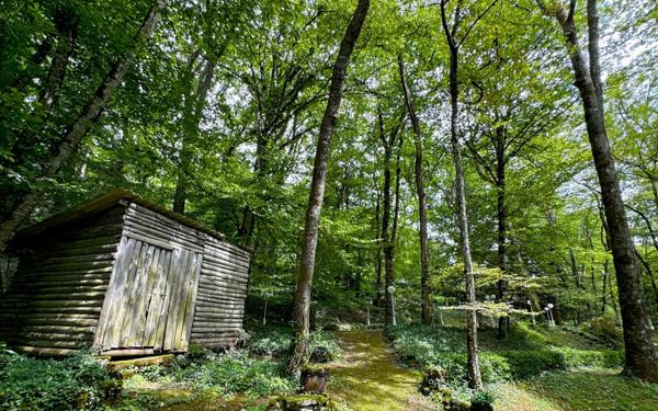 Maison à vendre    10 pièces • 300 m2 Trélissac