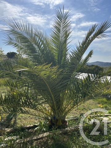 Maison à vendre  4 pièces - 130 m2 POMAS - 11