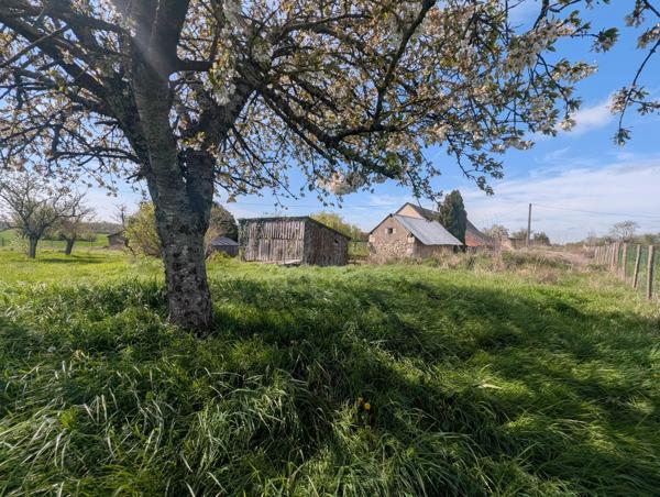 Longère de charme avec dépendances – Environnement campagne, fort potentiel
