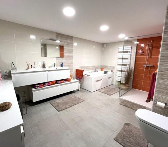 Maison Saint Hymetiere Sur Valouse 9 pièce(s) 161 m2