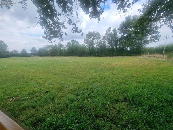 Achat - Terrain à bâtir | Terrain à bâtir Bouesse 36200 3110 m 2 3110 m 2