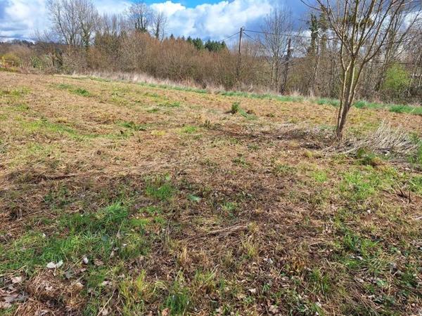 Terrain à vendre |  Condat-sur-Ganaveix |  2109 m²