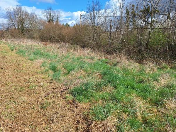 Terrain à vendre |  Condat-sur-Ganaveix |  2109 m²