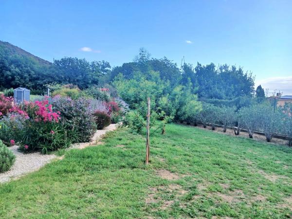 Vente / Maison et grand terrain