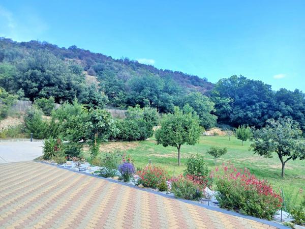 Vente / Maison et grand terrain