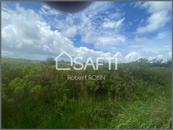 A VENDRE TERRAIN A BATIR