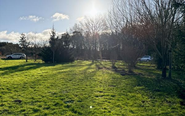 Maison à louer    4 pièces •  Ligny-le-Ribault