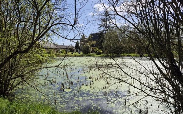 Maison à vendre    6 pièces •  Pouancé