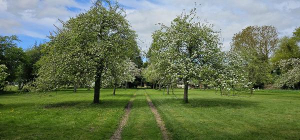 EXCLUSIVITÉ  Authentique maison normande avec terrain arboré de 8088 m²
