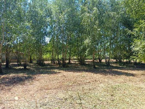 Vente / Terrain constructible