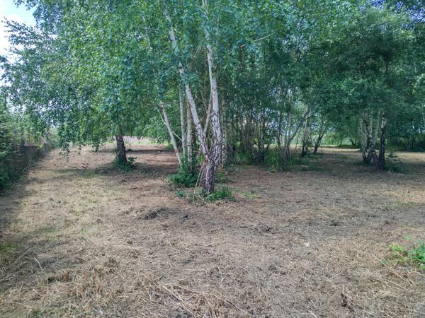Vente / Terrain constructible