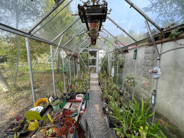 La maison aux cactus