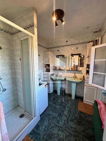 Appartements Gaillac 9 pièce(s) 196 m2