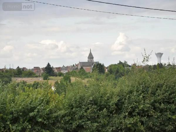 Achat - Terrain à bâtir Argenton-sur-Creuse 36200 593 m 2